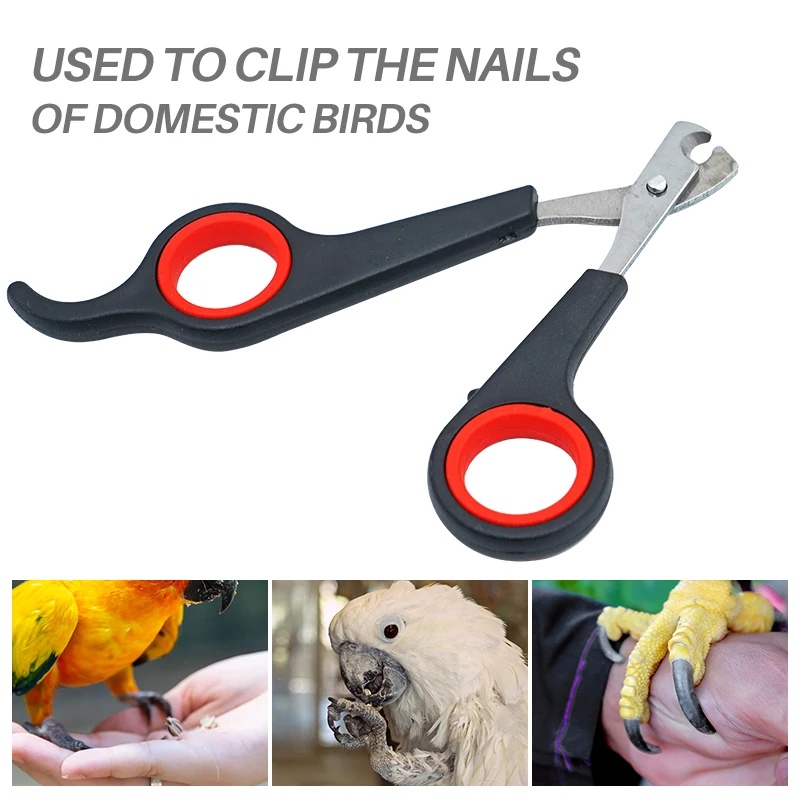 Tijeras para uñas de mascotas  - Grooming Scissors reseña y precio